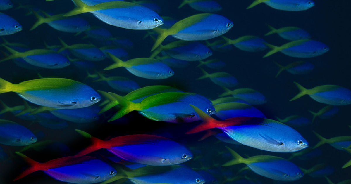 centro para adegazar santiago de chile, clinica obesidad Santiagop de Chile, cirugia bariatrica en santiago , Doctor gustavo czwiklitzer, clinica obesidad Santiago de Chile, cirugia bariatrica en santiago , Doctor gustavo czwiklitzer, centro de obesidad y cirujanos bariátricos, consulta Gustavo Czwiklitzer, clínica obesidad para perder peso Santiago de Chile